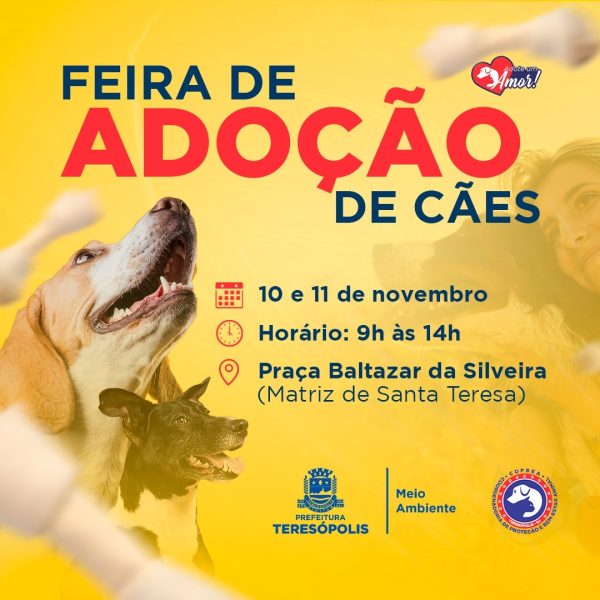 Leia mais sobre o artigo Feira de adoção de cães da COPBEA acontece nesta sexta e sábado, na Praça Santa Teresa
