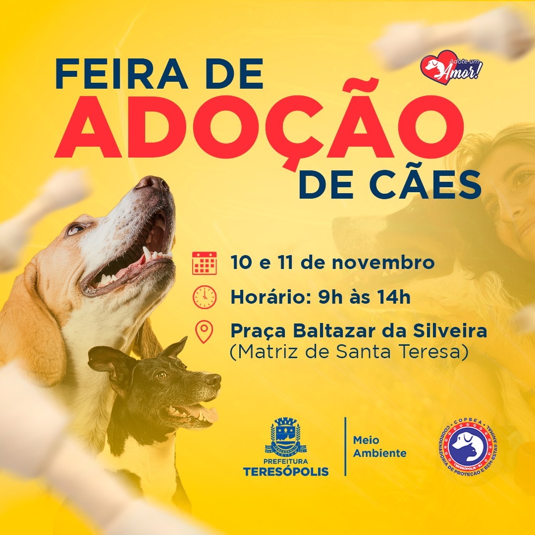 Leia mais sobre o artigo Feira de adoção de cães da COPBEA acontece nesta sexta e sábado, na Praça Santa Teresa