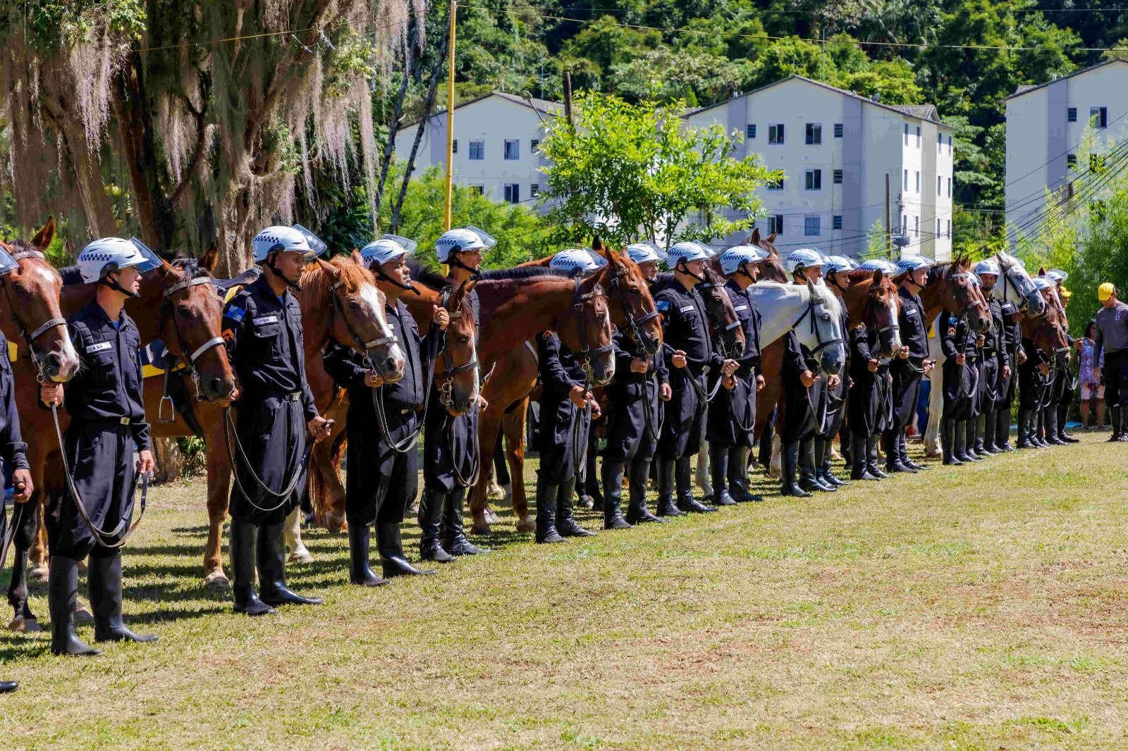 Leia mais sobre o artigo Reforço na segurança pública: Teresópolis ganha Destacamento de Polícia Montada