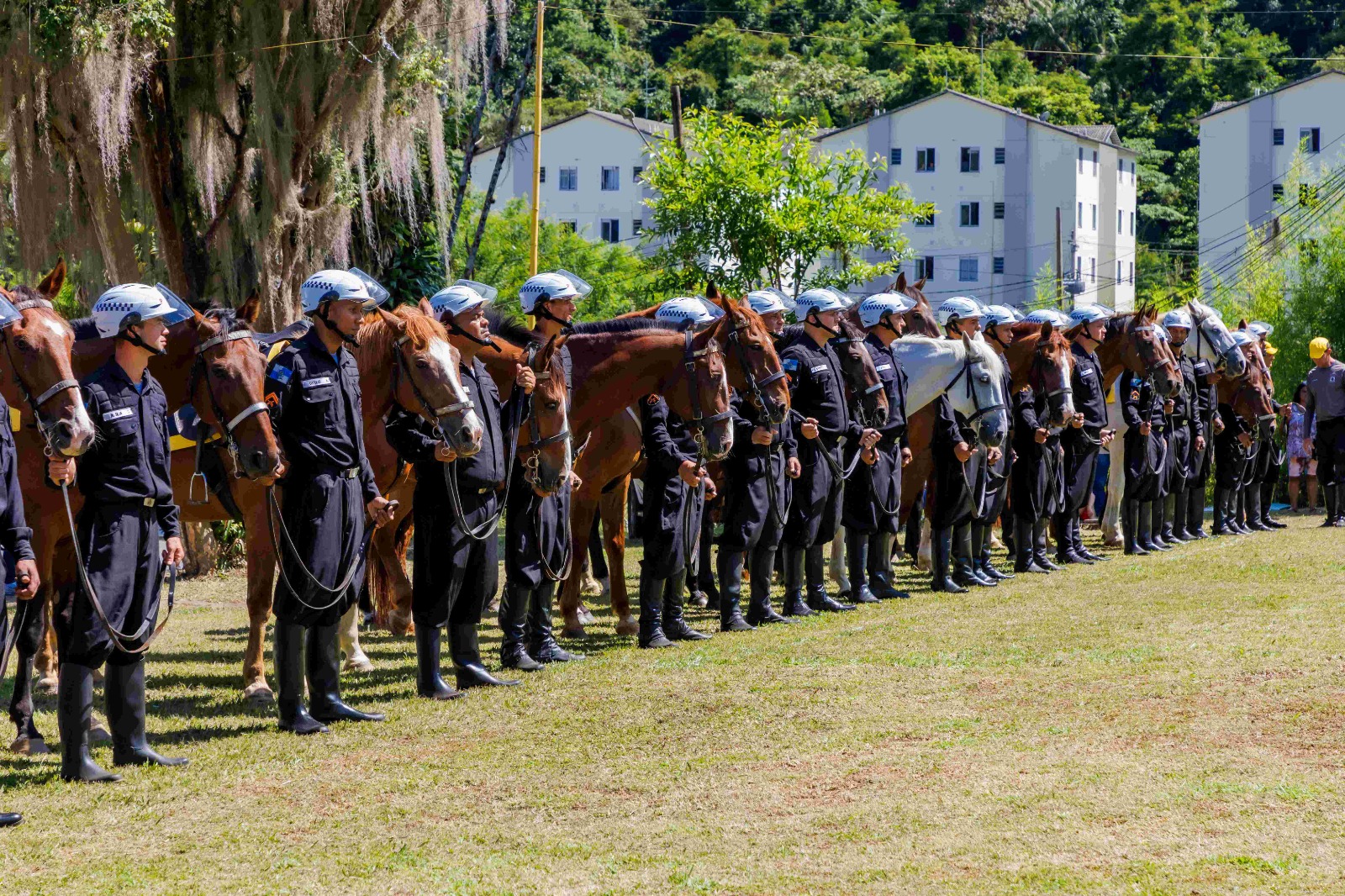 Você está visualizando atualmente Reforço na segurança pública: Teresópolis ganha Destacamento de Polícia Montada