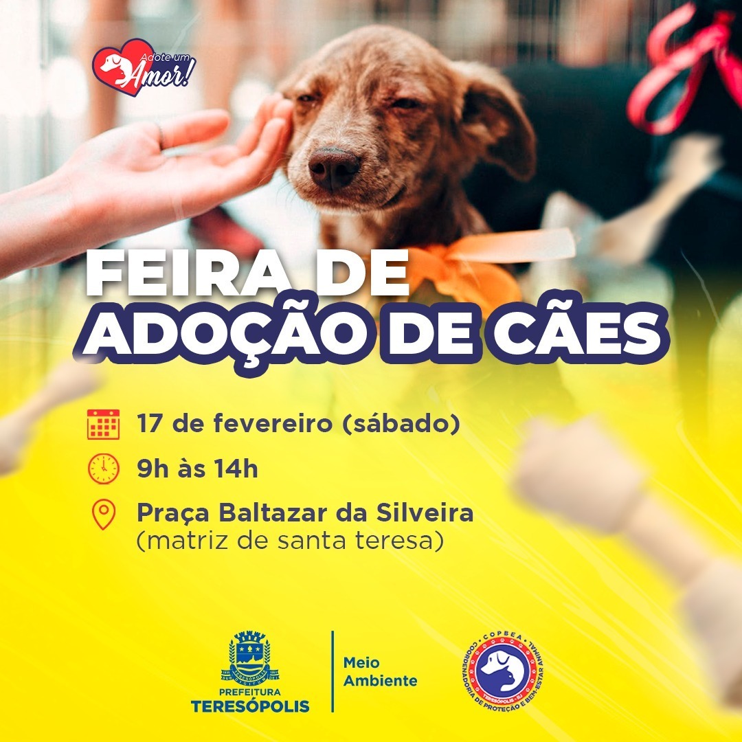 Leia mais sobre o artigo ‘Adote um amor’: feira de adoção de cães acontece neste sábado, na Praça Santa Teresa