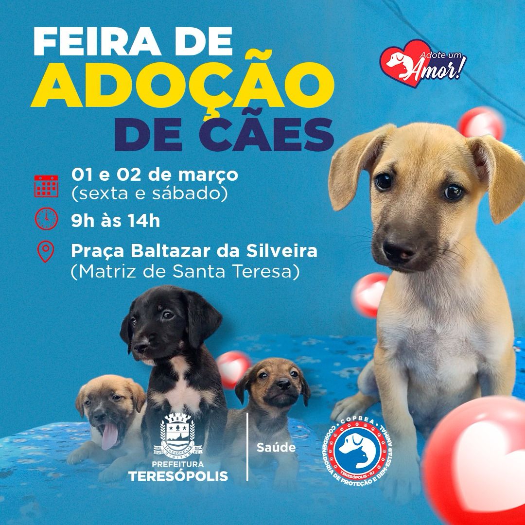 Você está visualizando atualmente ‘Adote um amor’: feira de adoção de cães acontece nesta sexta, 01, e no sábado, 02, na Praça Santa Teresa