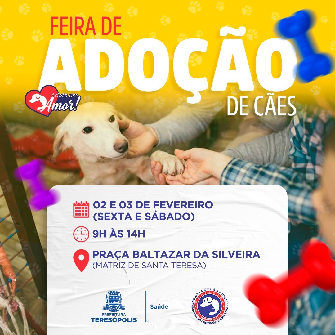 Você está visualizando atualmente ‘Adote um amor’: feira de adoção de cães acontece neste final de semana, na Praça Santa Teresa