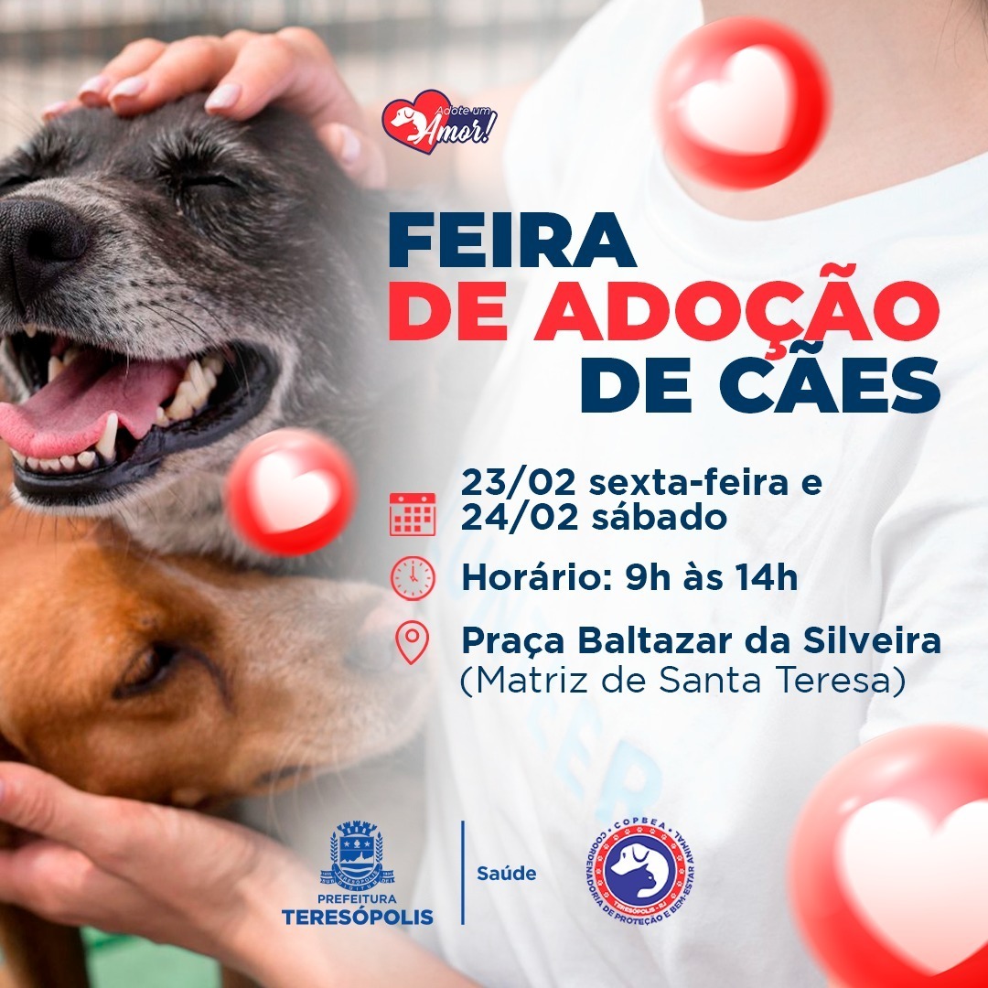 Você está visualizando atualmente ‘Adote um amor’: feira de adoção de cães acontece nesta sexta, 23, e no sábado, 24, na Praça Santa Teresa