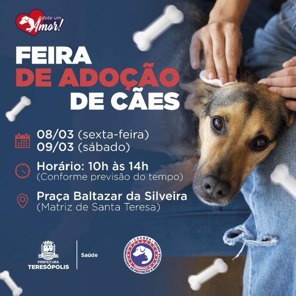 Leia mais sobre o artigo Adoção de Pets: COPBEA realiza mais uma edição da feira de cães, na Praça Santa Teresa