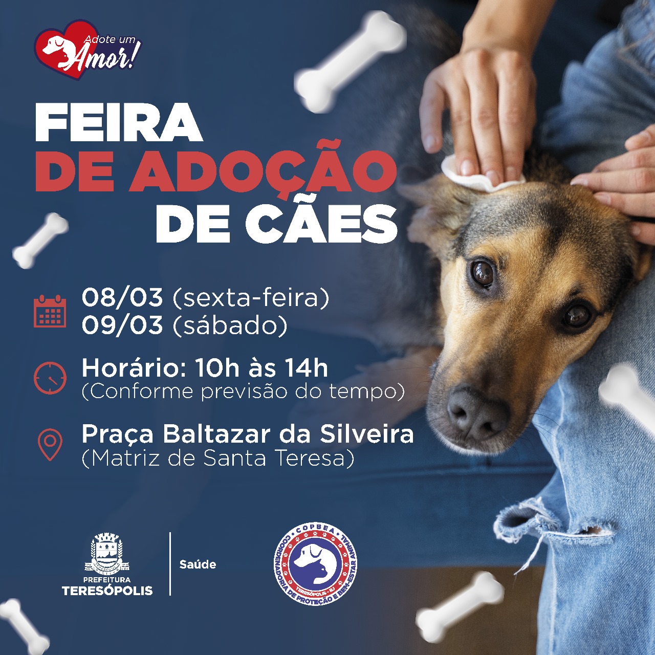 Você está visualizando atualmente Adoção de Pets: COPBEA realiza mais uma edição da feira de cães, na Praça Santa Teresa
