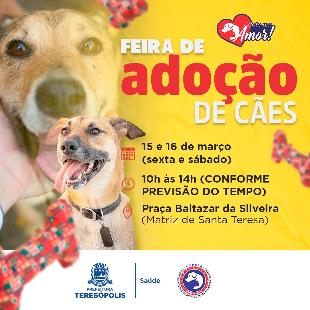 Leia mais sobre o artigo Feira de adoção de cães da COPBEA acontece nesta sexta e sábado, na Praça Santa Teresa