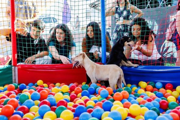 Leia mais sobre o artigo Escola Móvel PET do Senac fica em Teresópolis até o próximo dia 19.