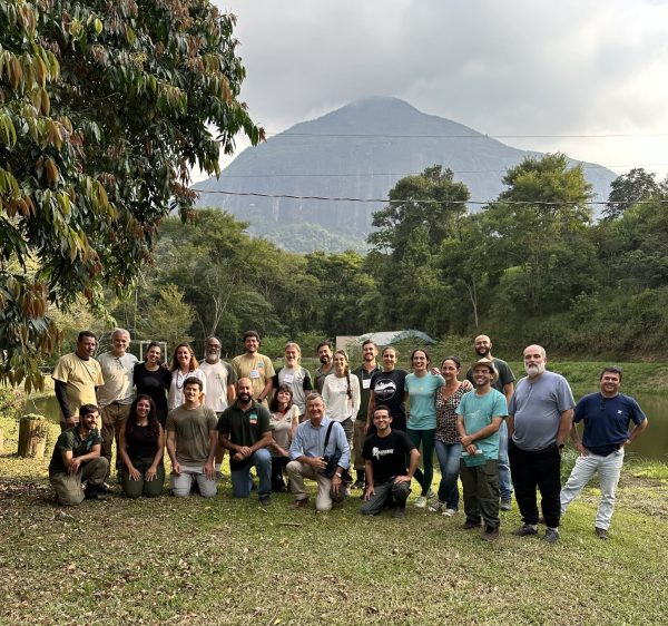 Leia mais sobre o artigo 1ª Oficina de Estratégias é promovida no Parque Natural Municipal Montanhas de Teresópolis