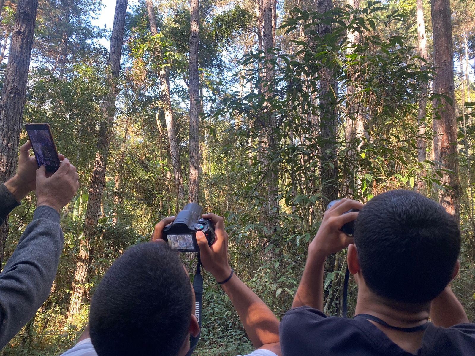 Leia mais sobre o artigo Alunos do Colégio Estadual Euclydes da Cunha realizam atividades relacionadas à Observação de Aves no Parque Natural Municipal Montanhas de Teresópolis