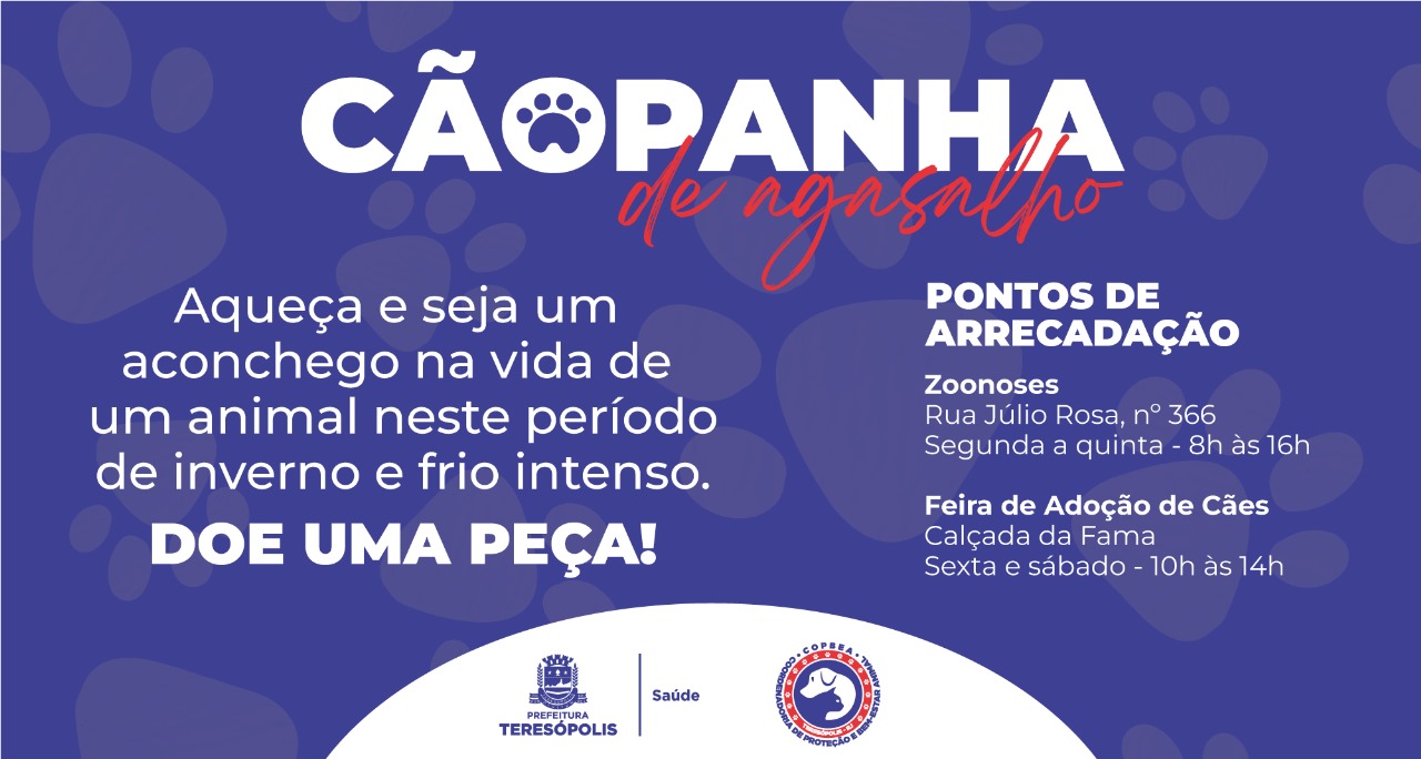 No momento, você está visualizando AGASALHO PET: COPBEA promove campanha para arrecadar cobertores e roupas para animais