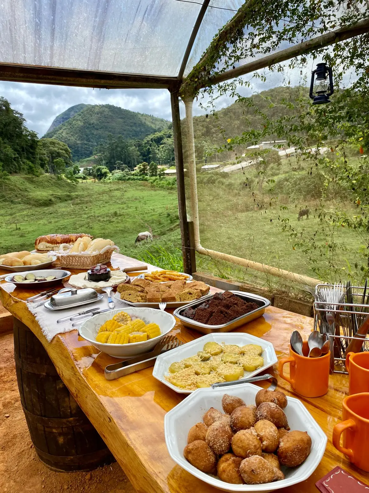 Leia mais sobre o artigo Fazenda Land Serra abre as portas para o turismo rural em Teresópolis