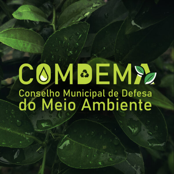 Leia mais sobre o artigo Secretaria de Meio Ambiente marca para abril a Audiência Pública para renovação do Comdema em Teresópolis
