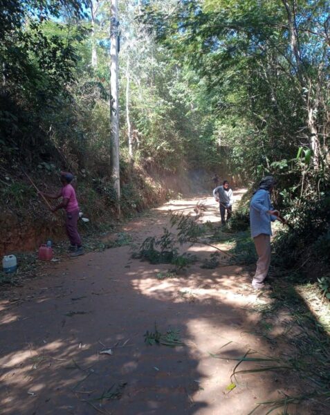 Leia mais sobre o artigo Agricultura segue com serviços de manutenção e zeladoria nos bairros do interior de Teresópolis