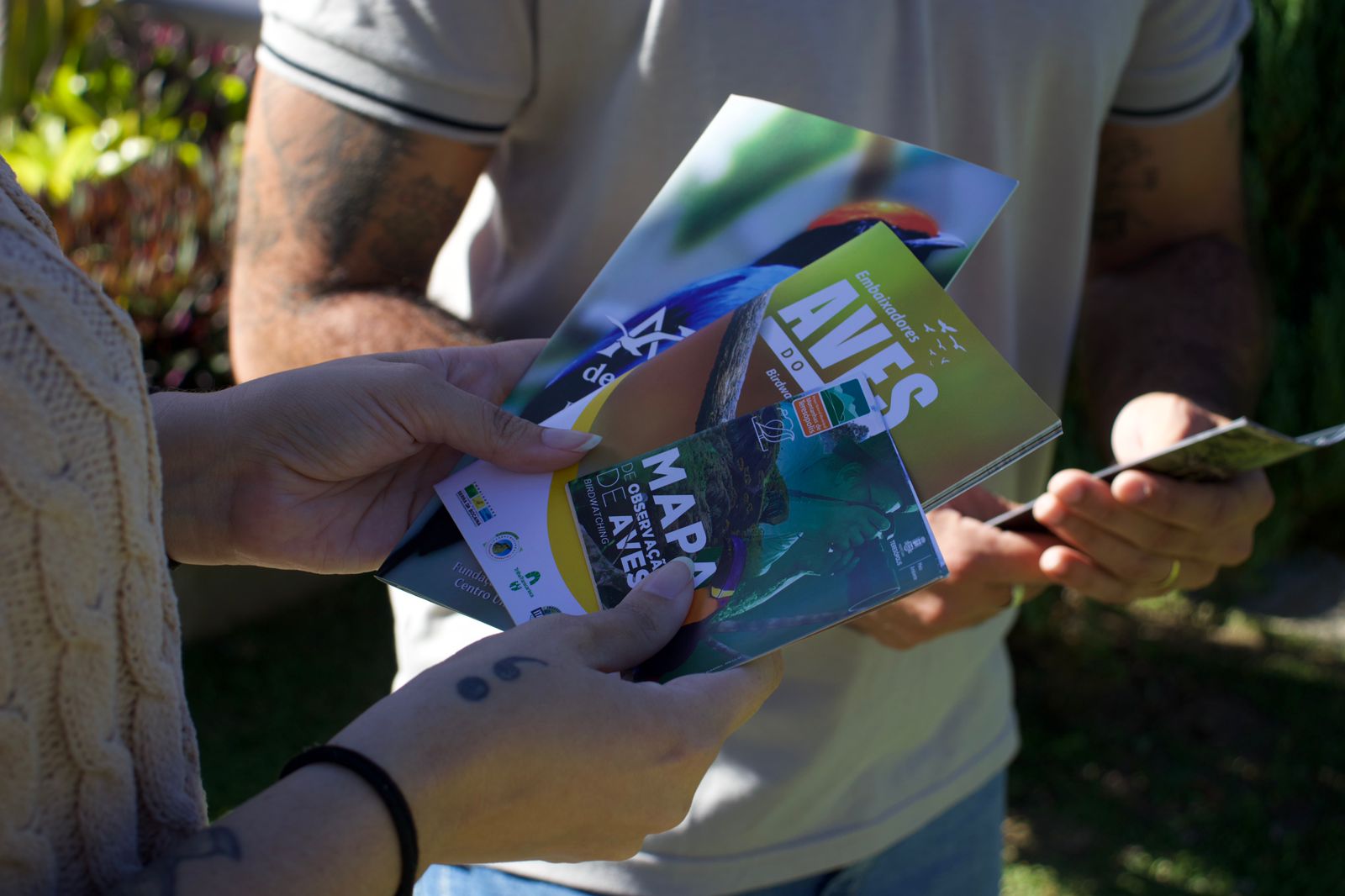 Leia mais sobre o artigo Toca da Cigarra pode se tornar novo polo de birdwatching em Teresópolis