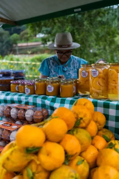 Leia mais sobre o artigo Festa da Ponkan 2025 bate recorde de público e reforça protagonismo de Teresópolis na produção da fruta