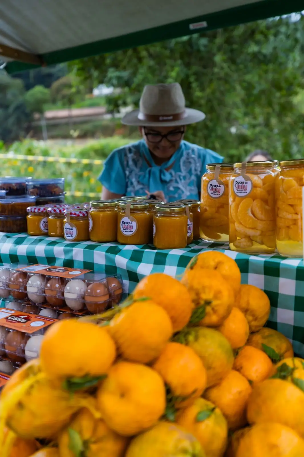 No momento, você está visualizando Festa da Ponkan 2025 bate recorde de público e reforça protagonismo de Teresópolis na produção da fruta