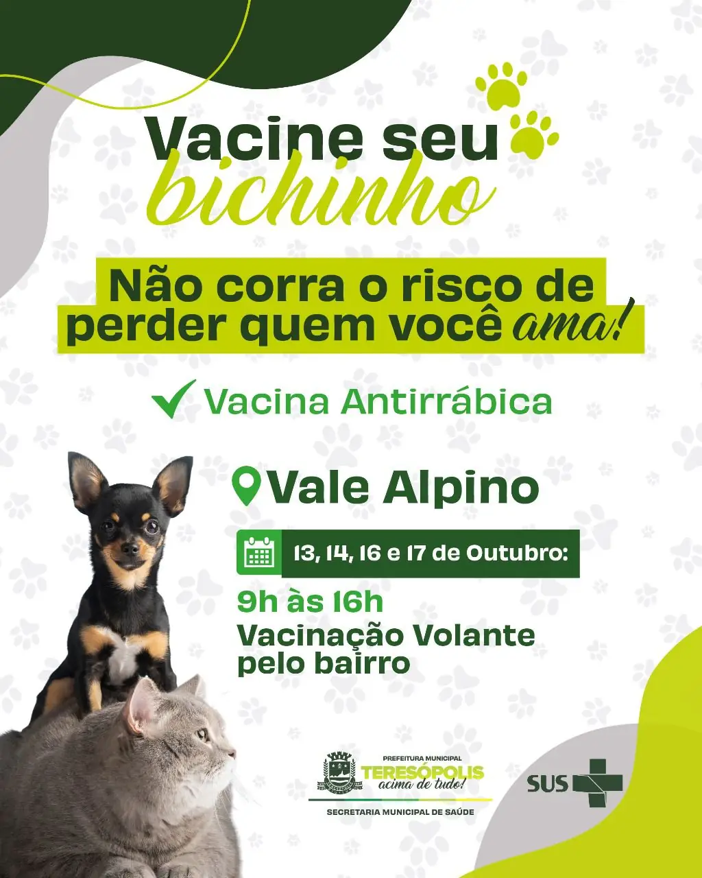 No momento, você está visualizando Vacinação de cães e gatos contra a raiva chega ao Vale Alpino, na área rural