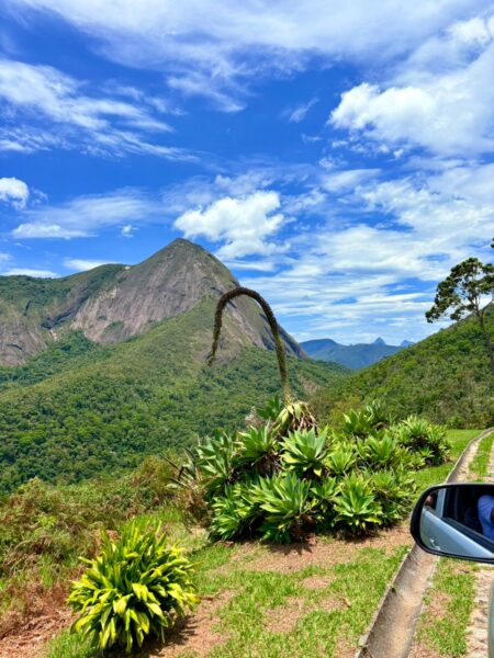 Leia mais sobre o artigo Sítio Girassol: um novo destaque do turismo rural no 2º distrito de Teresópolis