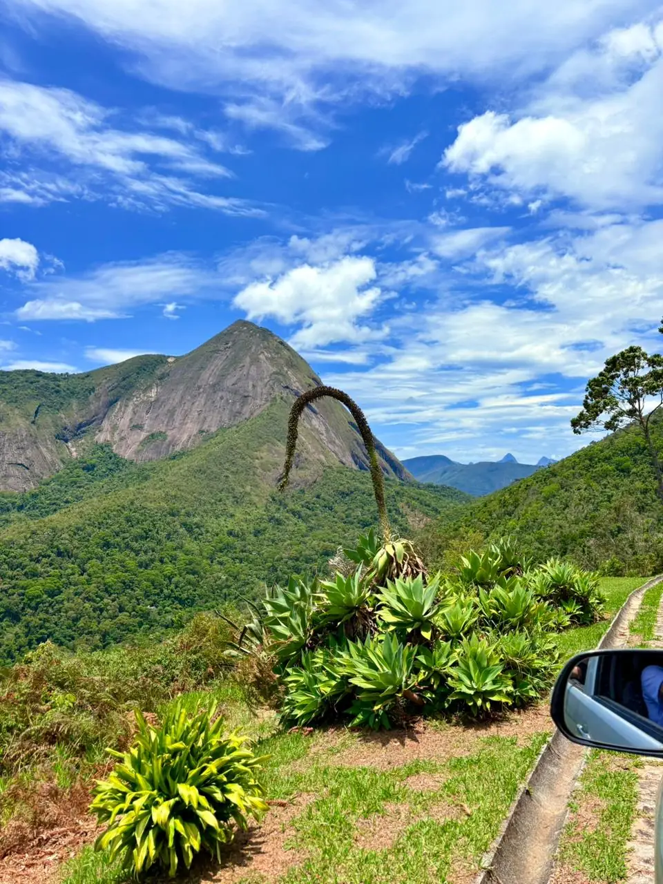 Leia mais sobre o artigo Sítio Girassol: um novo destaque do turismo rural no 2º distrito de Teresópolis