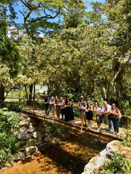 Leia mais sobre o artigo 