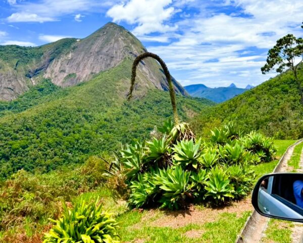 Leia mais sobre o artigo 2º Tere Geek Fest, Feira do Rolo e Domingo no Parque em Teresópolis