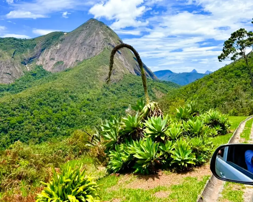 No momento, você está visualizando 2º Tere Geek Fest, Feira do Rolo e Domingo no Parque em Teresópolis