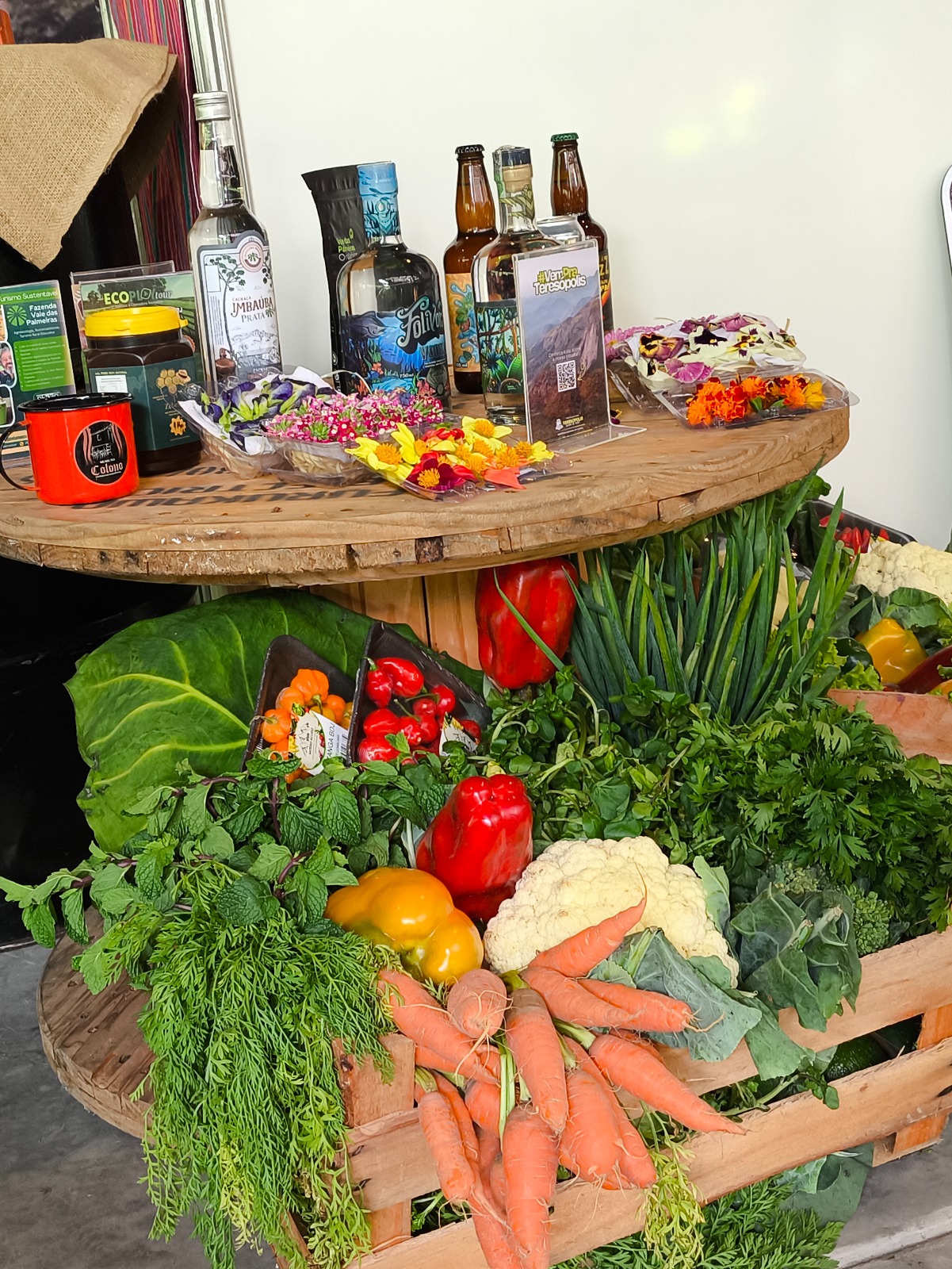 No momento, você está visualizando Teresópolis reforça protagonismo turístico durante Encontro Regional em Nova Friburgo