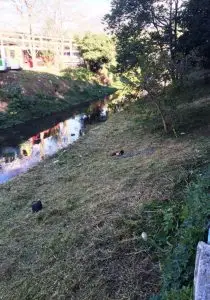 Limpeza margem rio 6a_Divulgação