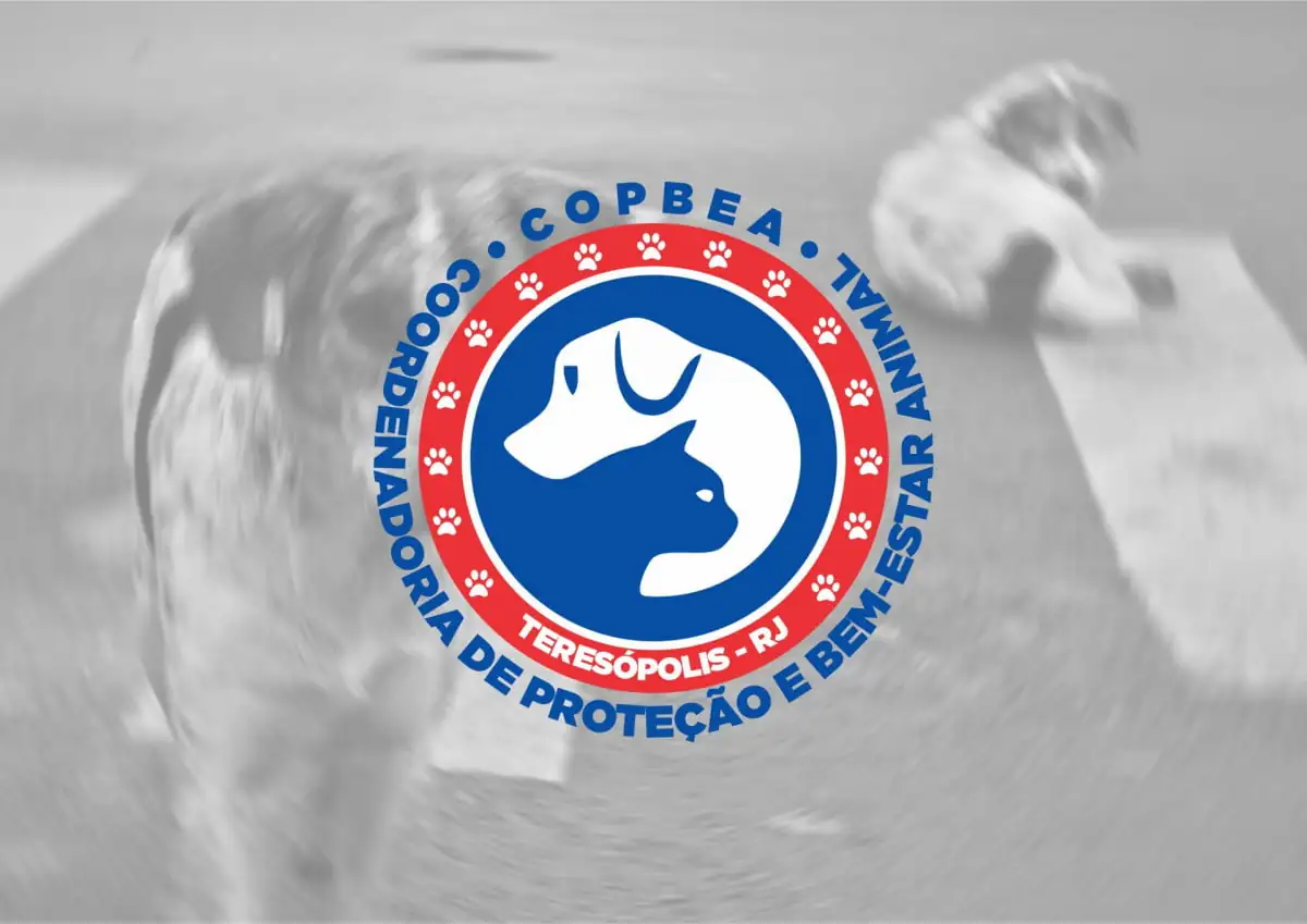 No momento, você está visualizando Prefeitura de Teresópolis credencia clínicas veterinárias para castração gratuita de cães e gatos