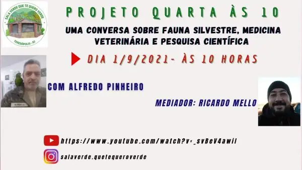 Leia mais sobre o artigo Projeto ‘Quarta às 10’ aborda a fauna silvestre, medicina veterinária e pesquisa científica