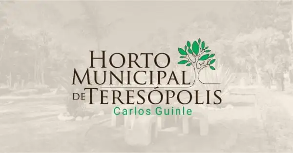 Leia mais sobre o artigo Horto Municipal comemora Dia da Árvore com atividades para crianças