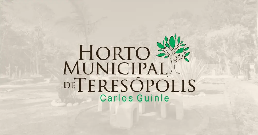 No momento, você está visualizando Horto Municipal comemora Dia da Árvore com atividades para crianças