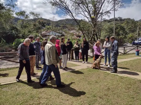 Leia mais sobre o artigo Horto Municipal recebe atividade com pacientes do Caps II