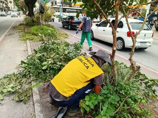 Leia mais sobre o artigo Canteiro central da Reta vai receber 1.500 mudas de plantas