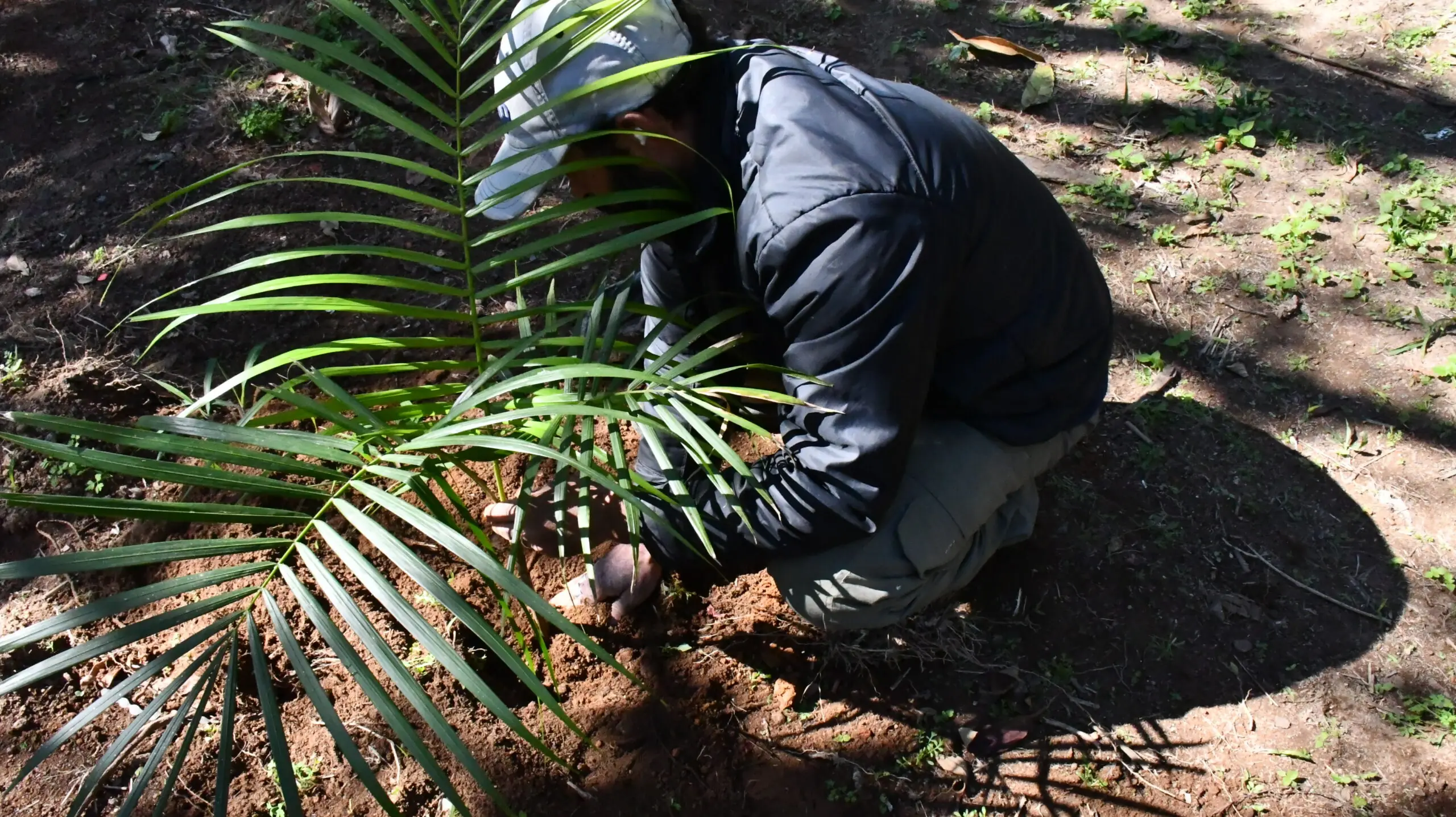 No momento, você está visualizando Teresópolis Sustentável: cerca de 100 mudas nativas são plantadas às margens do Rio Taboinhas, na Cascata dos Amores