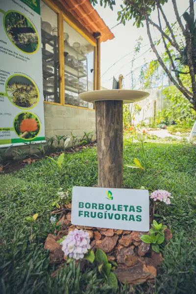 Leia mais sobre o artigo Prefeitura de Teresópolis entrega ampliação do Horto Municipal Carlos Guinle