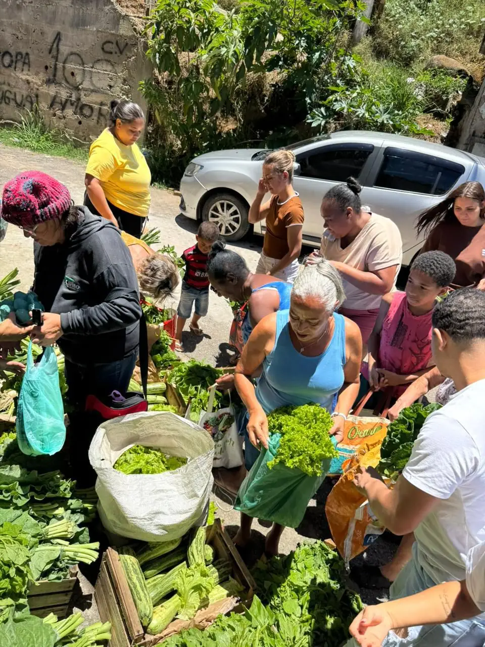 Leia mais sobre o artigo Secretaria Municipal de Assistência Social e Direitos Humanos realiza entrega especial de hortaliças para usuários dos CRAS
