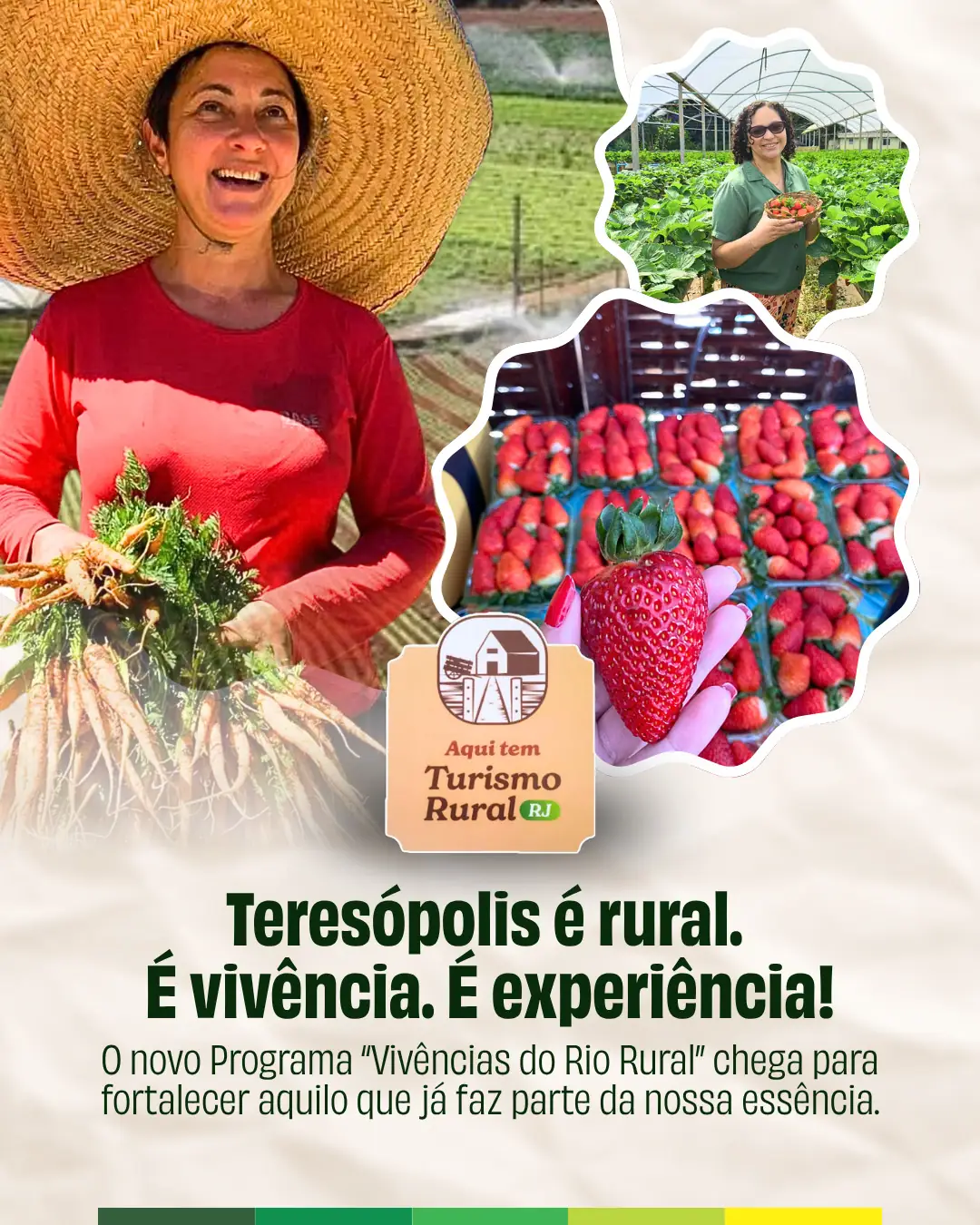 Leia mais sobre o artigo Rio lança programa “Vivências do Rio Rural” e impulsiona integração entre turismo e agronegócio