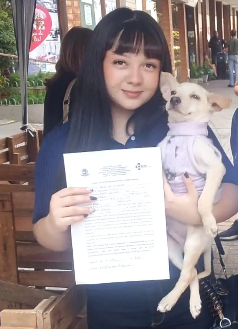 Leia mais sobre o artigo Teresópolis realiza mais uma feira de adoção de cães com sucesso